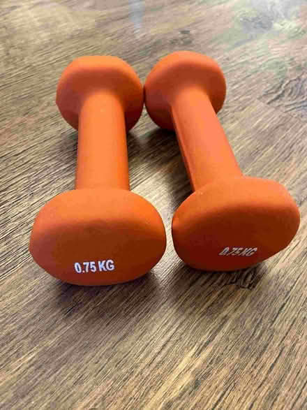 Photo of free 2 x 0.75KG dumbbells (Fiveways BN1) #1