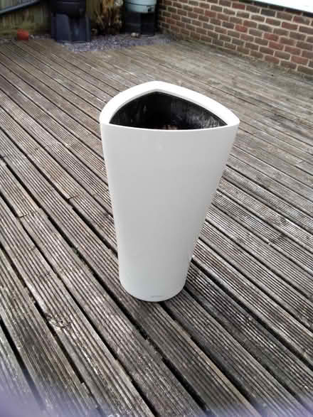 Photo of free Large indoor plants pot (West Green, Crawley) #1