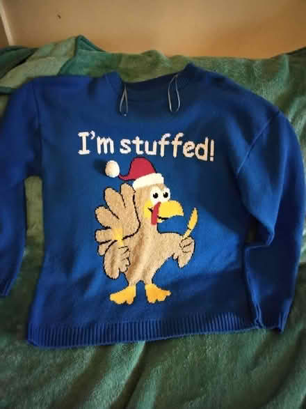 Photo of free Turkey Christmas jumper L (Brimington S43) #1