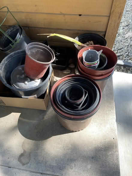 Photo of free Plastic planters and Bamboo sticks (West Love) #2
