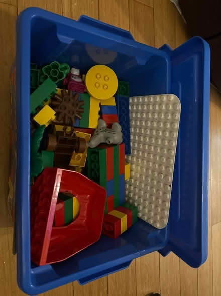 Photo of free Duplo legos (Boston) #1