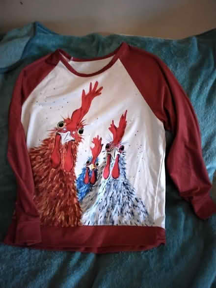 Photo of free Chicken top XL (Brimington S43) #1