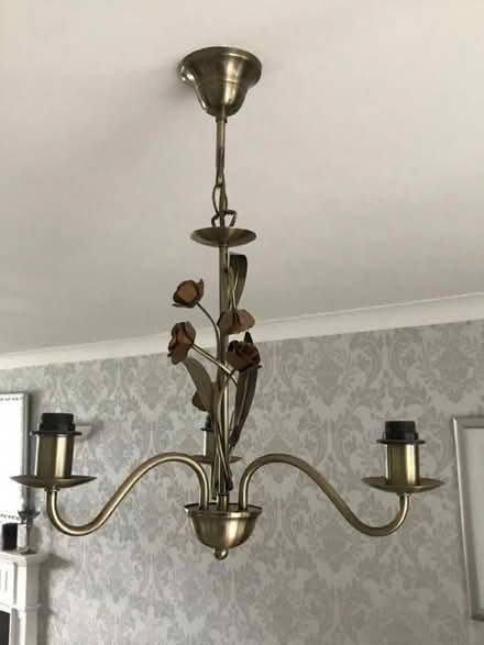 Photo of free Ceiling lights (Thimble End B76) #2