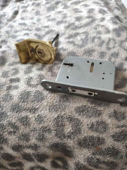 Photo of free Main Door Fittings (Trustworthy) (W7) #3