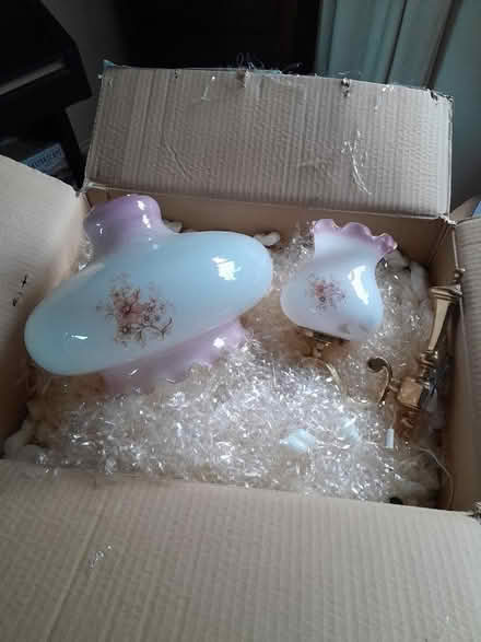 Photo of free Centre Shade & Wall Light (Burbage) #1