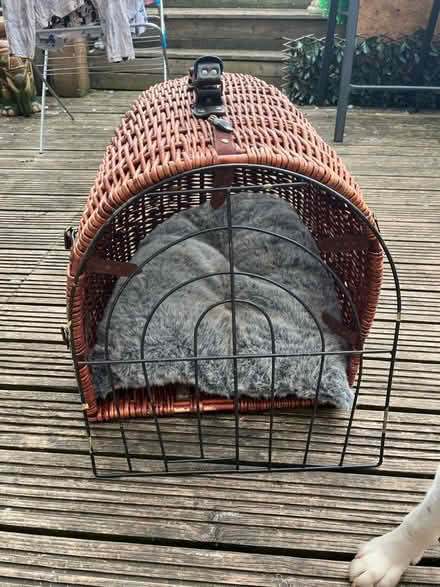 Photo of free Medium size wicker pet carrier (BA11) #1