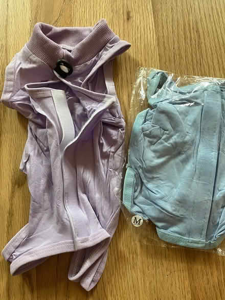 Photo of free Dog coats- medium for small dog (Kent- Panther Lake) #1