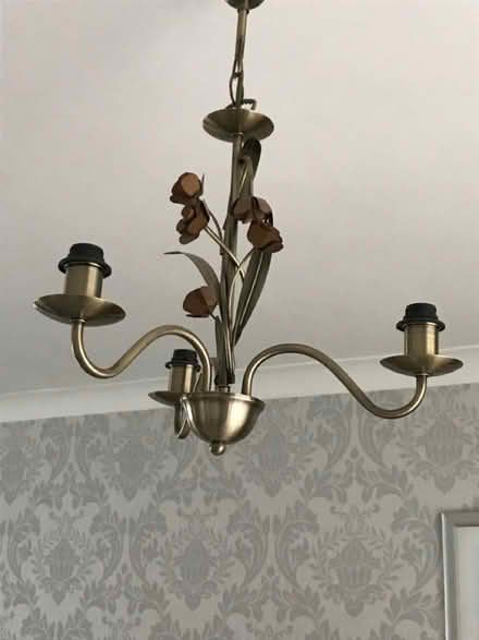 Photo of free Ceiling lights (Thimble End B76) #1