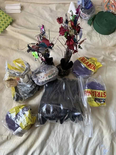 Photo of free lots of party items (Washington Heights near GWB) #3