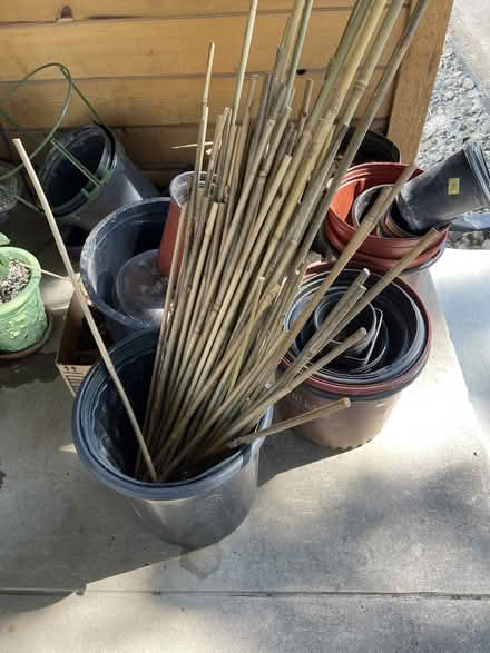 Photo of free Plastic planters and Bamboo sticks (West Love) #1