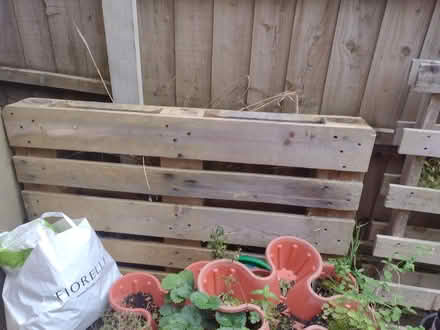 Photo of free pallets (Liverpool 25) #2