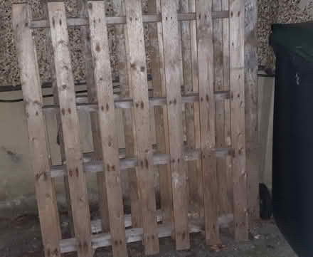 Photo of free Wooden pallet (Oakwood Park N21) #1