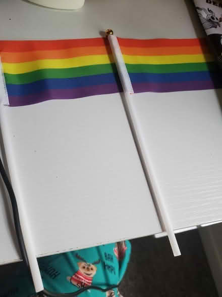 Photo of free Moisturizer and pride flags (Fittons Road West) #2