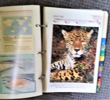 Photo of free Wildlife Fact File (Keresley Newlands CV7) #2