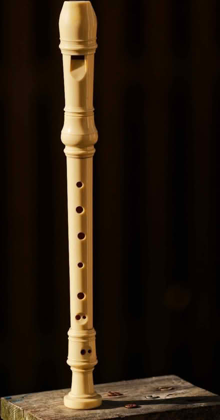 Photo of free A recorder and a tin whistle (High Knightswood G13) #1
