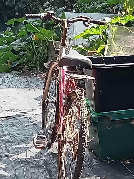 Photo of free bicycle (CT17) #1