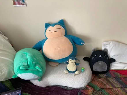 Photo of free Stuffed animals (Petworth) #1