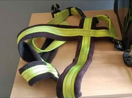 Photo of free Large dog harness (Stevenage) #1