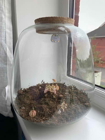 Photo of free Terrarium (Garston L19) #1