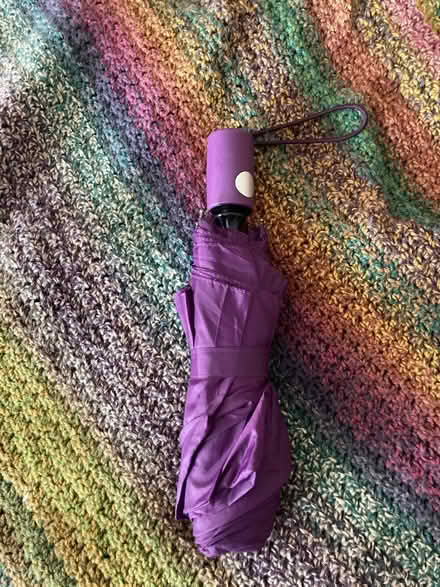 Photo of free Purple umbrella (Petworth) #1