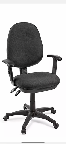 Photo of Desk Chair (Cityview-Nepean) #1