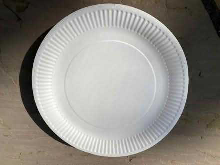 Photo of free 31 paper plates suitable for craft project. (Eccleston PR7) #1