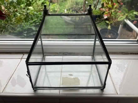 Photo of free small glass Terrarium (Glastonbury BA6) #1