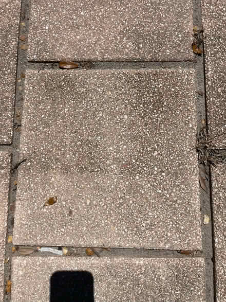 Photo of free Pavers (By connorton) #1