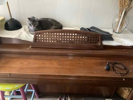 Photo of free Piano (Eddystone pa) #1