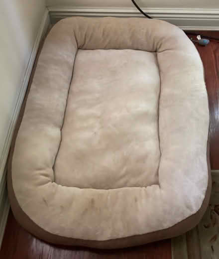 Photo of free Dog Bed (BayRidge, Brooklyn) #1