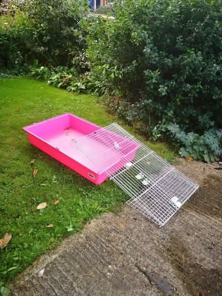 Photo of free Guinea pig cage for indoor use (Stewkley LU7) #1