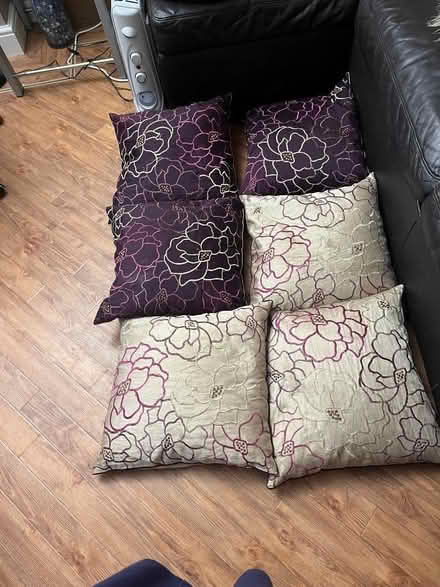 Photo of free 6 cushions from dunelm wd3 (Heronsgate WD3) #1