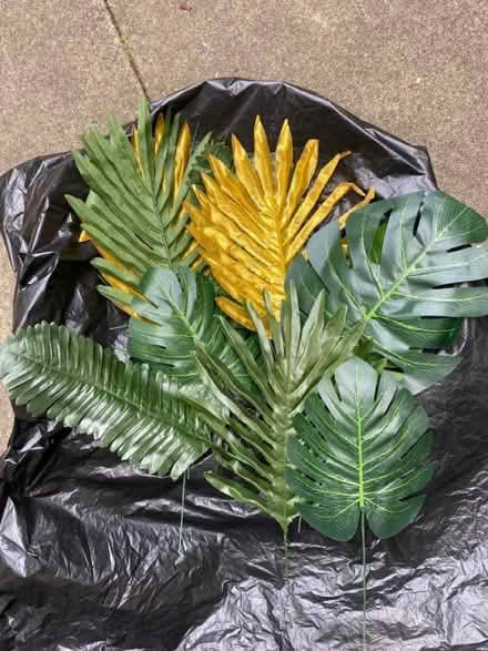 Photo of free Decoration (Skipton BD23) #1
