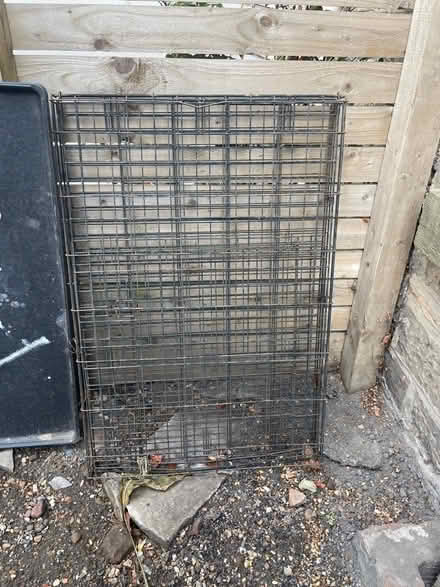 Photo of free XL Dog crate (Edinburgh) #1