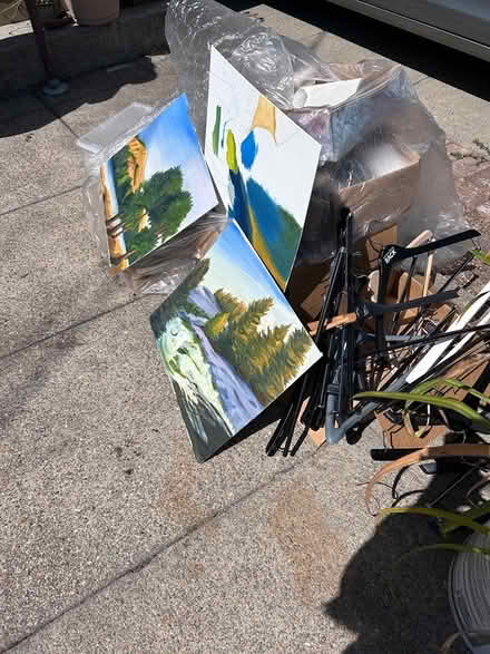 Photo of free Day Lilly pink and paintings (2200 block of Roosevelt ave) #2