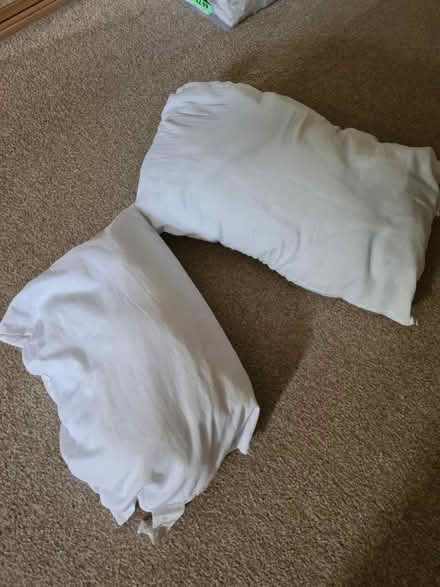 Photo of free Two pillows (S64 Swinton, Mexborough) #1