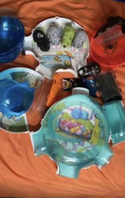 Photo of free Zhu zhu pets (Peterborough (Millfield)) #1