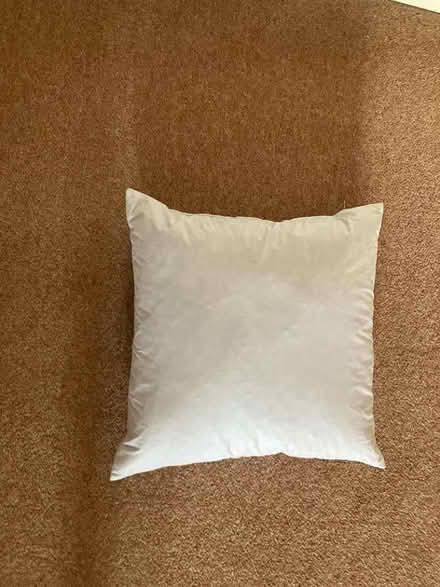 Photo of free Cushion inner (Berkhamsted HP4) #1
