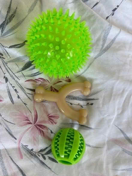 Photo of free Dog Toys (DE22) #3