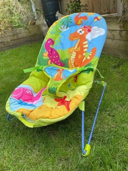 Photo of free Bouncy chair (Oldfield park) #1