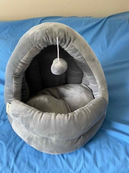 Photo of free Cat bed new (McCleay) #1