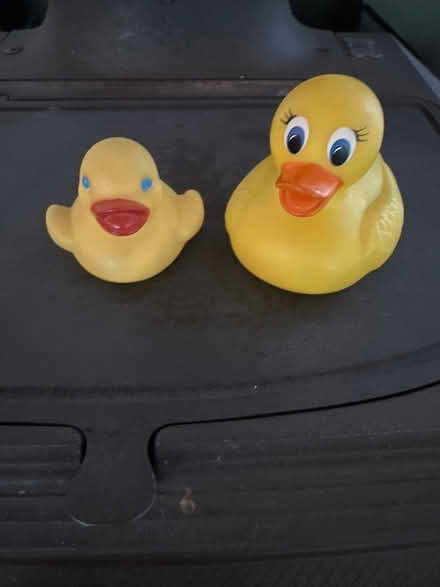 Photo of free Two rubber duckies (Valley Run) #1