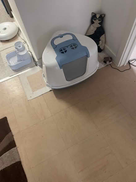 Photo of free Cat litter tray (Chichester PO19) #1