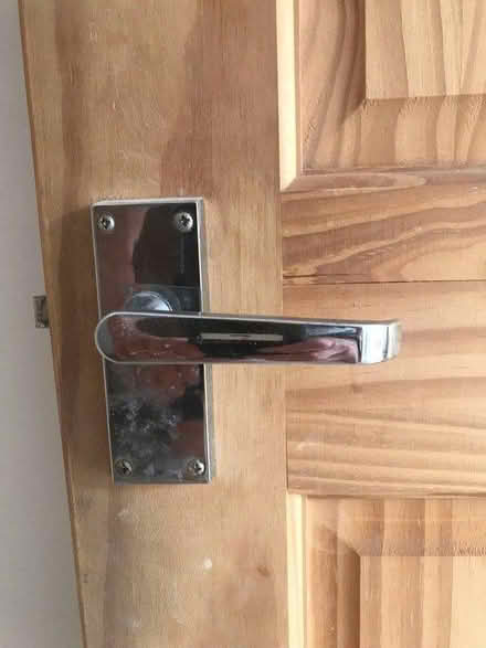 Photo of free 5 internal pine doors (Grove Rd Windsor SL4) #3