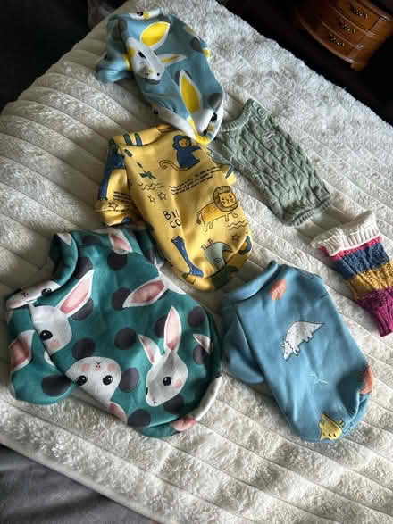 Photo of free Bundle puppy jumpers (Leam Lane gateshead NE10) #1