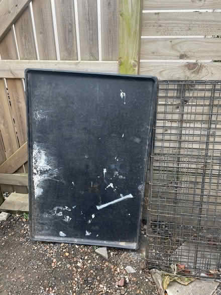 Photo of free XL Dog crate (Edinburgh) #2