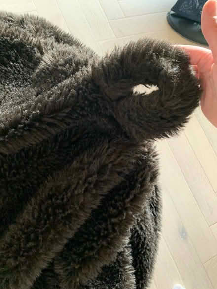 Photo of free Brown bean bag (Hackney E8) #1