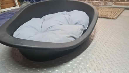 Photo of free Dog bed (RH1) #2