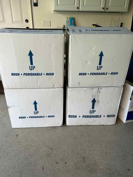 Photo of free 4 styrofoam coolers and boxes (Glenview IL) #2