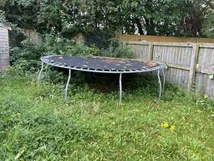 Photo of free Trampoline (BD4) #1